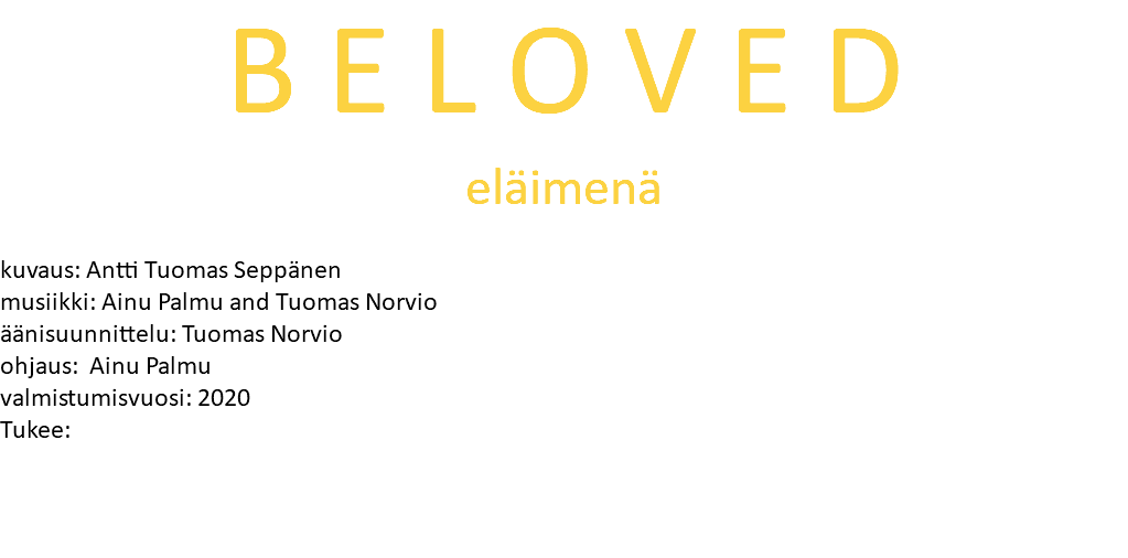 B E L O V E D eläimenä kuvaus: Antti Tuomas Seppänen musiikki: Ainu Palmu and Tuomas Norvio äänisuunnittelu: Tuomas Norvio ohjaus: Ainu Palmu valmistumisvuosi: 2020 Tukee: 